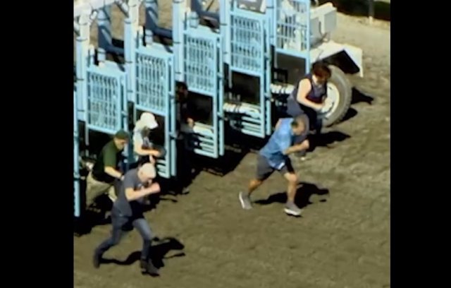 Бегать могут не только молодые, но и взрослые