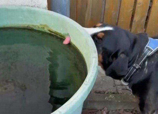 Ты не ты, когда на улице жара