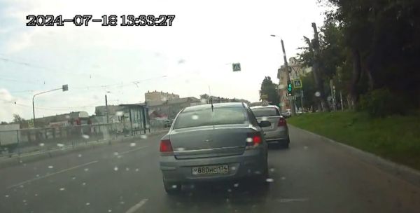 Вот так ученик автошколы узнал, что на дороге кто только не водится