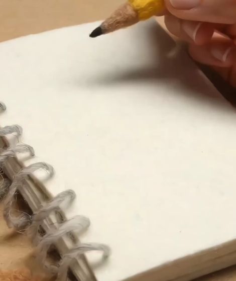 Шерстяные истории
