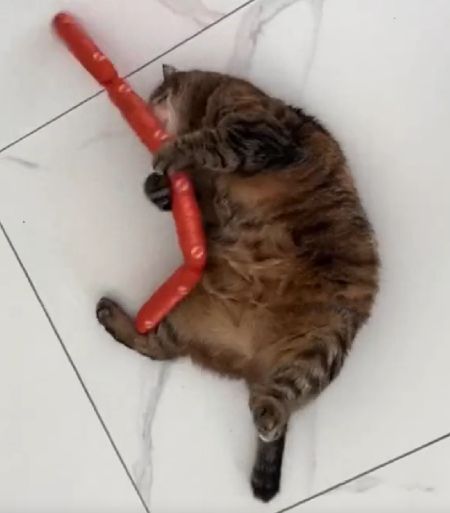 Моя прелесть⁠⁠
