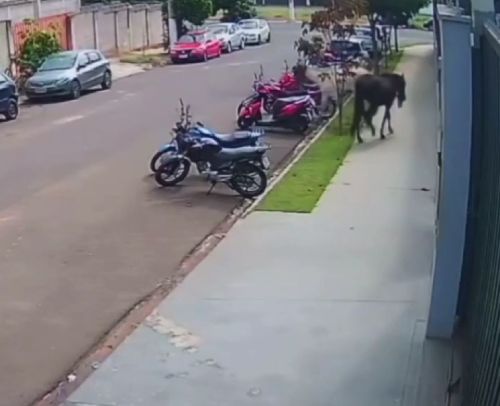 Кому скажешь - не поверят⁠⁠