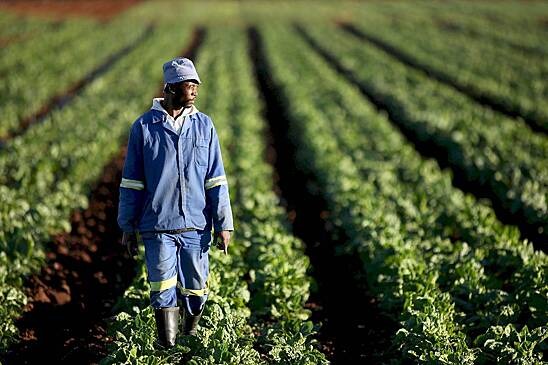 Объявлена альтернатива мигрантам из Центральной Азии в России