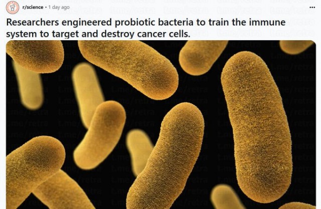 Учёные сделали шаг к победе над раком: создана вакцина, стимулирующая иммунную систему.