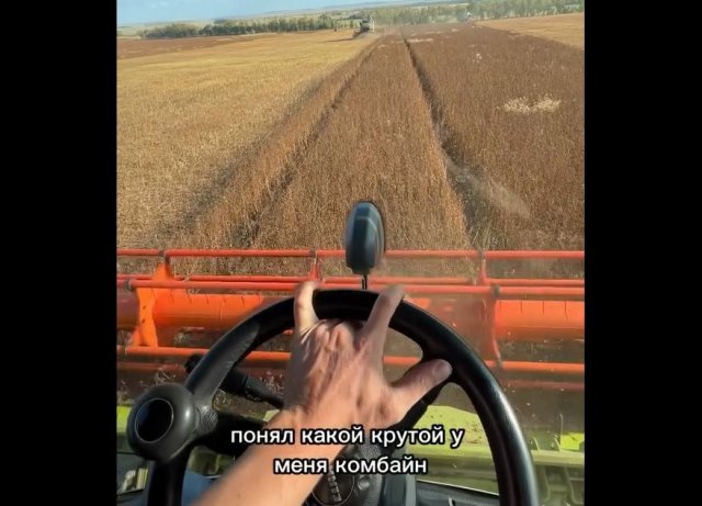 Комбайн собирает урожай гречихи.