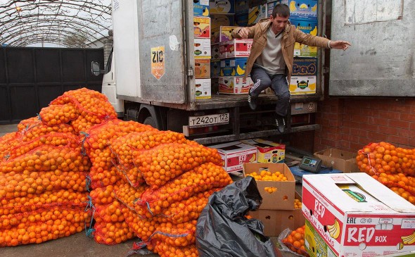 В Абхазии сообщили о введении запрета на экспорт мандаринов в Россию