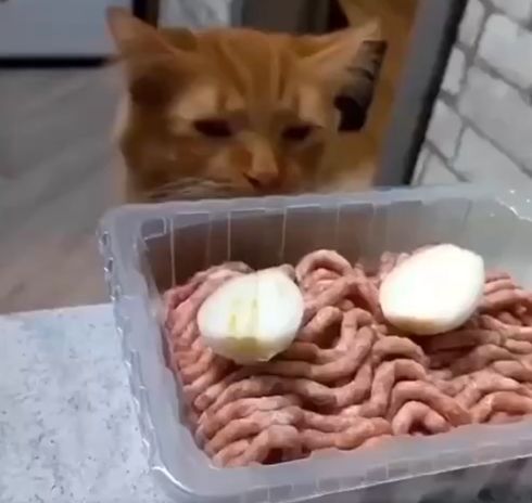 Кошачий детектив и дело о луке