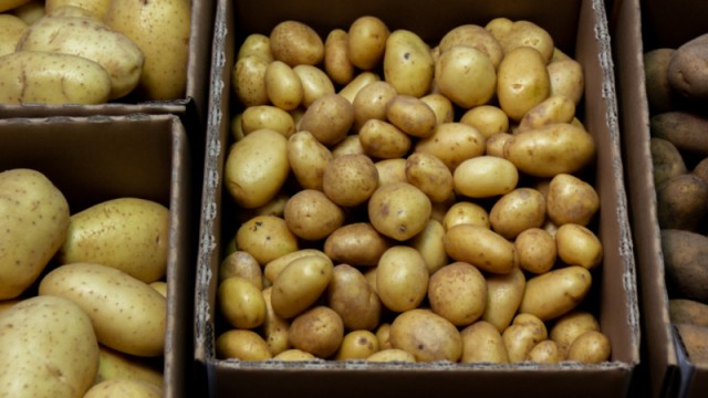 Глава ФАС объяснил рост цен на картофель его изначальной дешевизной