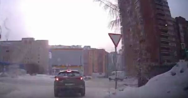 Ловушка для одинокого профессора