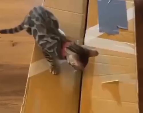 Настоящий хоррор⁠⁠