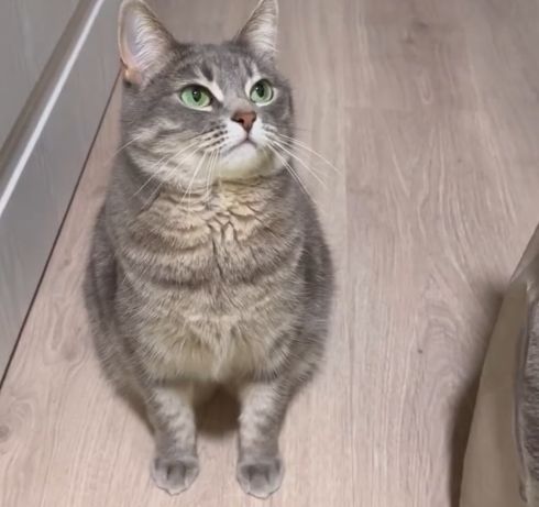 Федя)