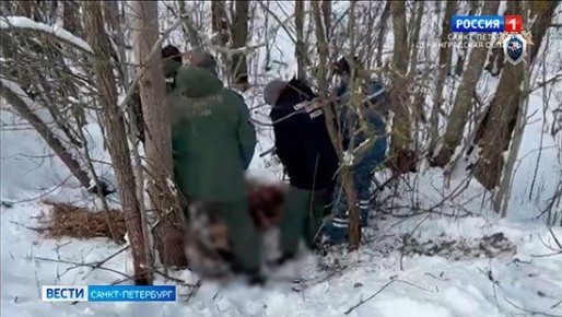 В Петербурге планируют следить за мигрантами через камеры и ограничить их работу курьерами