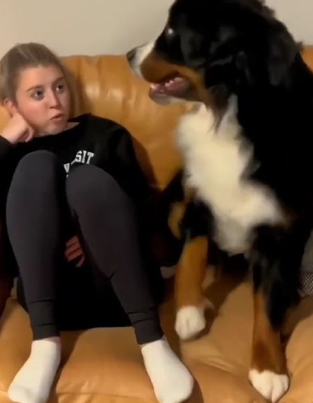 Скажи аф!⁠⁠