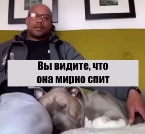 Голосовая команда на пробуждение⁠⁠