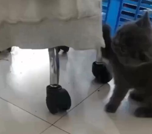 Ты тут кому тыкаешь⁠⁠