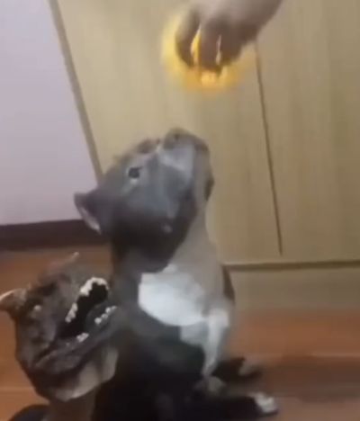 Умный учится на своих ошибках, гений на чужих⁠⁠