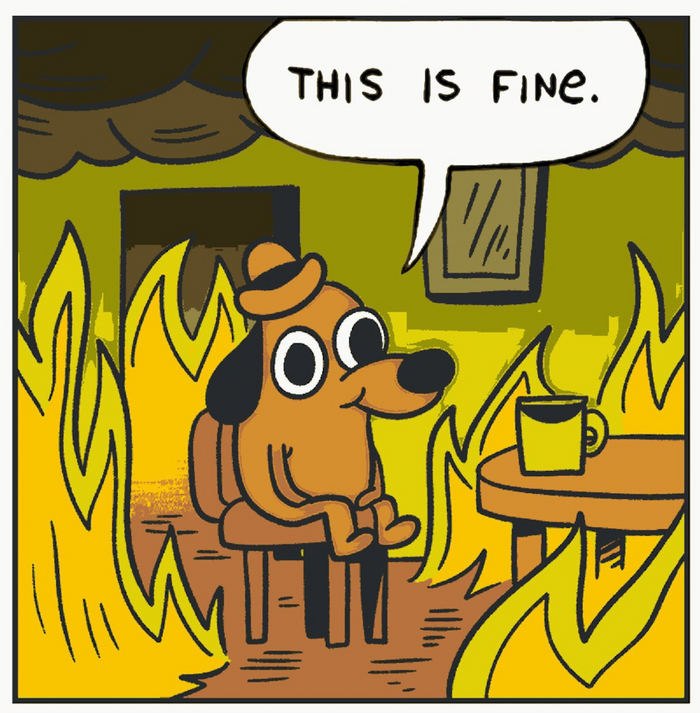 This is fine⁠⁠