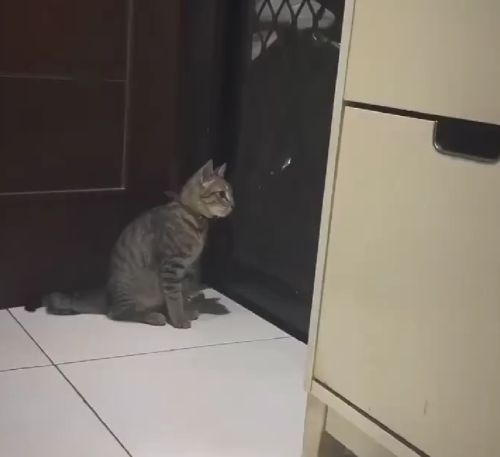 Раздвоение личности⁠⁠