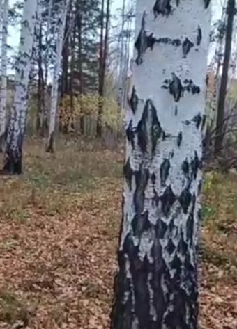 Добрый вечер!