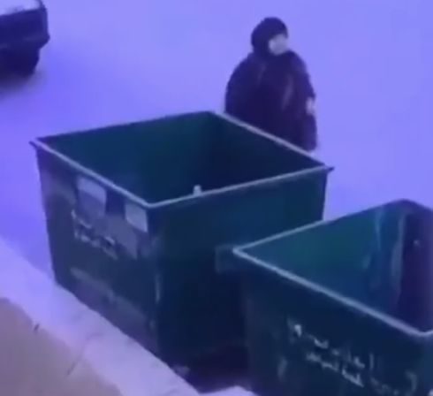 Нарвалась на кота