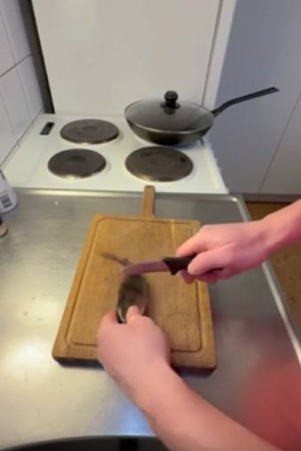 Куда девать мелкого окушка