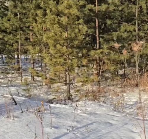 Ты не поцарапался?⁠⁠