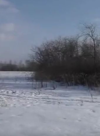 - Стой!