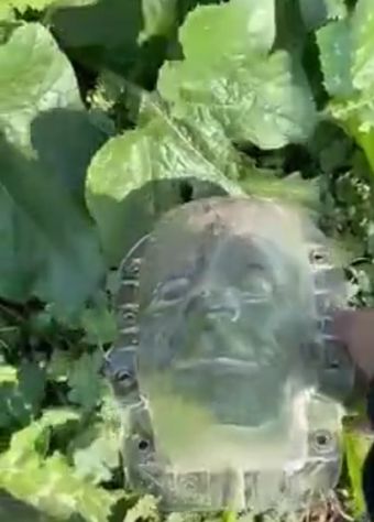 Где взять такие формы?