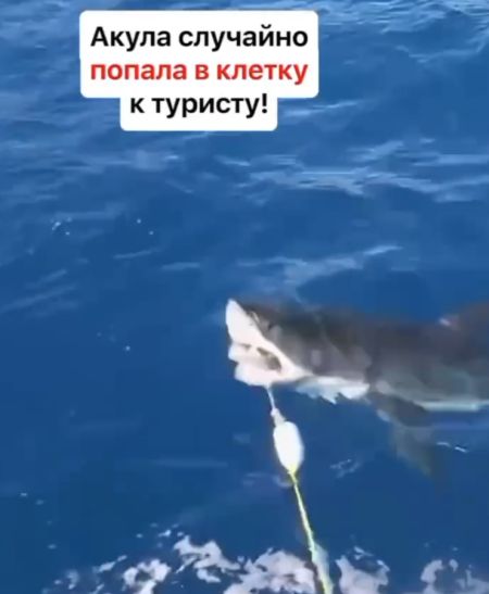 Эту встречу он запомнит на всю жизнь