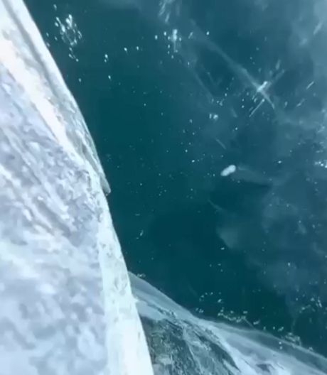 Байкальский лёд и его звуки⁠⁠