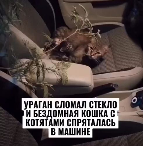 +100500 к карме таких людей⁠⁠