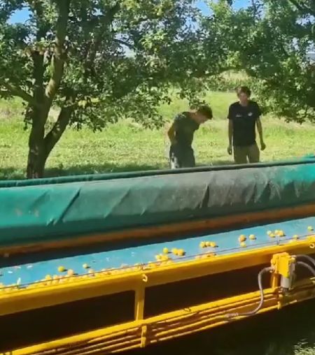 Сбор урожая⁠⁠