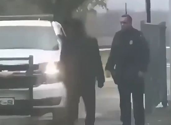 Скажи привет, моему маленькому другу