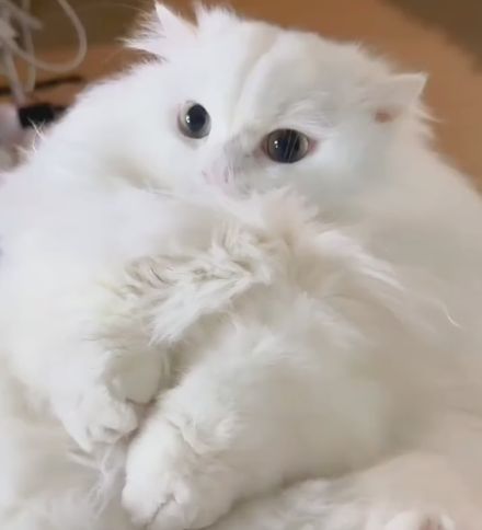 Облачко⁠⁠