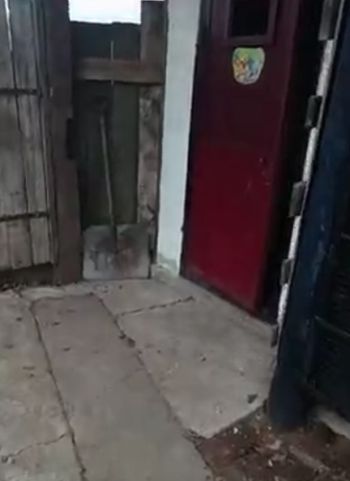 Качели