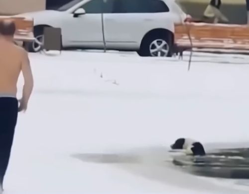 Герои среди нас⁠⁠