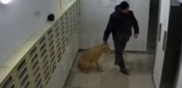 В Новосибирске гопник жестоко избил мужчину за отказ дать сигарету