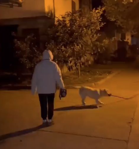 Собакен⁠⁠
