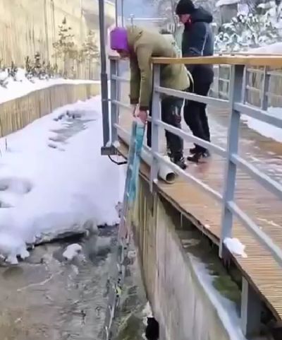 Спасение котика⁠⁠