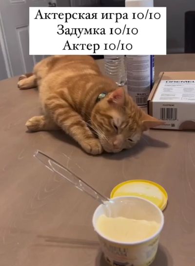 Идеальный план⁠⁠