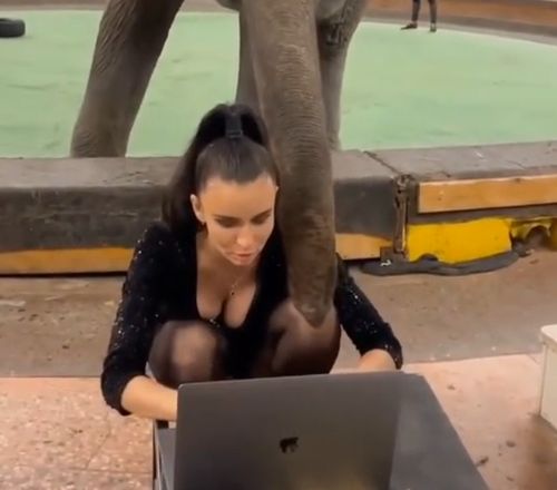 - Откуда засосы на шее?