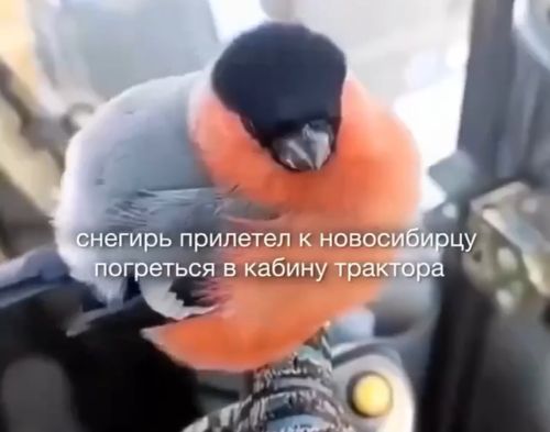 Женщины: Мужикам только одно и нужно. Так же Мужчины: …⁠⁠