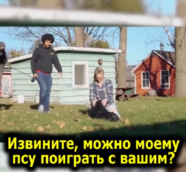 Очень страшный, но ласковый пес
