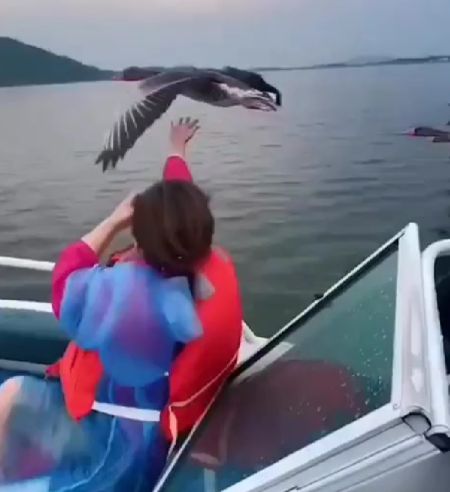 Возглавили стаю