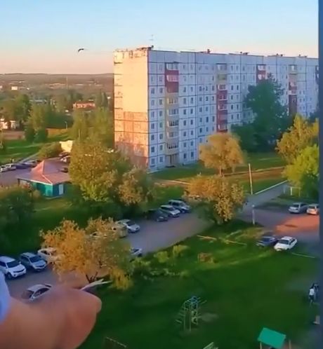 Кормим Степана⁠⁠