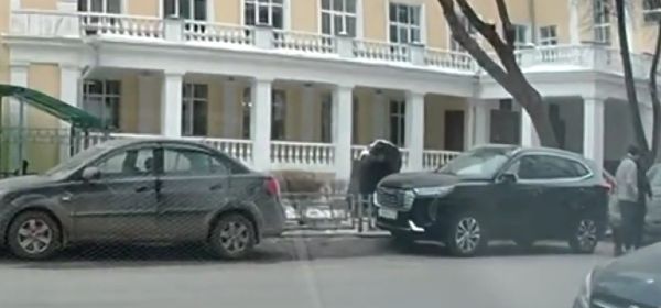 "Стоп Жлоб"