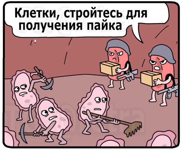 Что творится внутри нас: организм против наших привычек