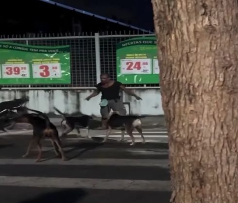 Вопрос знатокам. Это какой пояс?⁠⁠
