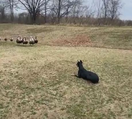 Толпой на одного
