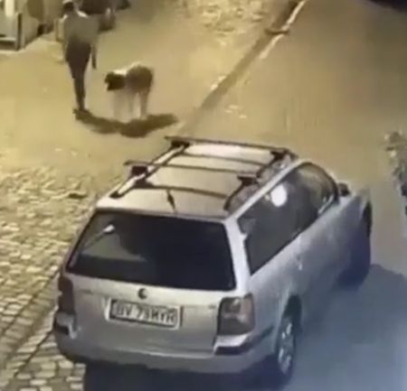 Делаем ноги, хозяйка!⁠⁠